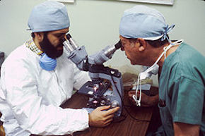 Pathologists_looking_into_microscopes_(1)